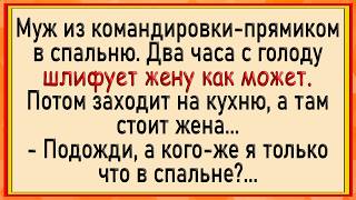 Зятек даже не заметил! Сборник свежих анекдотов! Юмор!