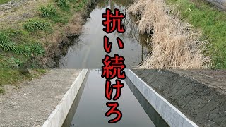 出来ることを最大限やって抗い続けろ