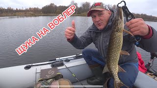 Щука и окунь в конце октября//Рыбалка на спиннинг 🎣