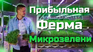 Микрозелень Вложения и Прибыль