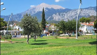 PINE HOUSE HOTEL 4*,  KEMER 2024