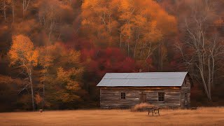 Autumn to Winter Landscapes | 40-Minute Seasonal Serenity | Fall & Snowy Nature Scenes