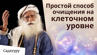 Интервальное голодание поможет вам очистить карму и избавиться от хронических заболеваний