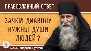 ЗАЧЕМ ДИАВОЛУ НУЖНЫ ДУШИ ЛЮДЕЙ ?  Монах Киприан (Бурков)