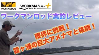 【ワークマンロッド】実釣レビュー！霞ヶ浦のアメナマと格闘！ポテンシャルはいかに！