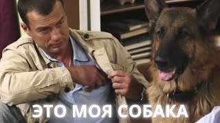 МОЖНО БЕСКОНЕЧНО СМОТРЕТЬ ЭТОТ ФИЛЬМ! ПОГРУЗИТЕСЬ В ТЕПЛЫЕ ОБЪЯТИЯ ЭТОЙ МЕЛОДРАМЫ! Это моя собака