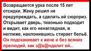 Как муж, после отсидки, жене сюрприз сделал.... Сборник анекдотов! Юмор! Позитив!