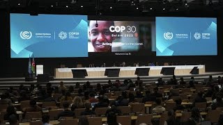 COP29 в Баку: прорыв в климатическом финансировании или слишком мало и слишком поздно?…