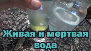 Живая и мертвая вода. От чего лечит и как её приготовить?