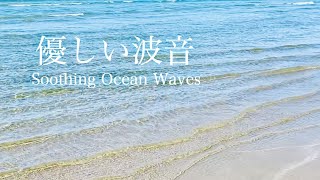 【自然音】遠浅の海の穏やかなさざ波 / 海の波音・優しい水の音 / 睡眠 瞑想 勉強 作業用 BGM 環境音 / リラックス / Nature Sounds / ASMR / 福津市 宮司浜海水浴場