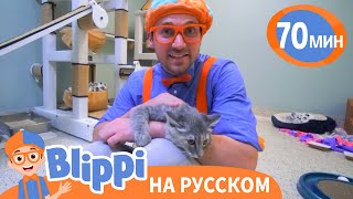 Блиппи в приюте для бездомных животных | Блиппи на русском