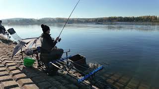 Кубок Urban Fishing осень 2024. ГК Заславль. Личный зачёт.