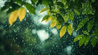 Peaceful Piano Music - Calming sound of rain to reduce stress, improve sleep and boost creativity