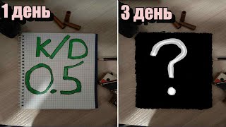 Как изменится мой скилл за 3 дня игры в ксс