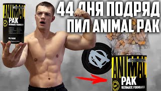 44 ДНЯ ПОДРЯД ПИЛ ANIMAL PAK, ВОТ ЧТО ВЫШЛО!