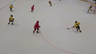 Nazar's (#27) shifts, game u13Elite Lausanne-Bern,  07.08.24