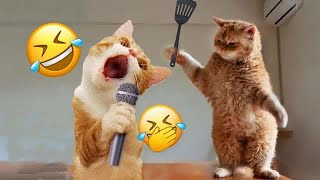 You Laugh You Lose😻Funniest Dogs and Cats 2024🤣🐶