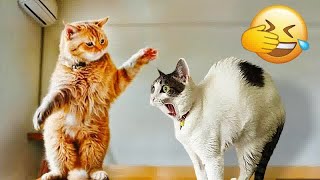 🤣🤣 New Funny Cats and Dogs Videos Funniest Animals 🙀🐈 # 0