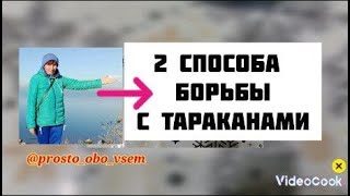 2 ПРОСТЫЕ И ЭФФЕКТИВНЫЕ СПОСОБА ИЗБАВЛЕНИЯ ОТ ТАРАКАНОВ