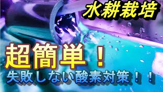 【水耕栽培】水耕栽培の大切な秘訣！水中酸素濃度を増やそう！