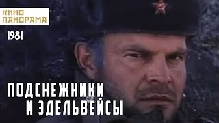 Подснежники и эдельвейсы (1982 год) военные приключения