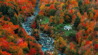 🍁 Epic New England Fall Foliage 🍂  Raw Peaceful Autumn Life in the American Countryside Compilation