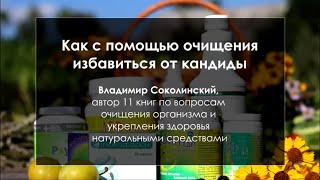 Как избавиться от грибов в кишечнике натуральными средствами