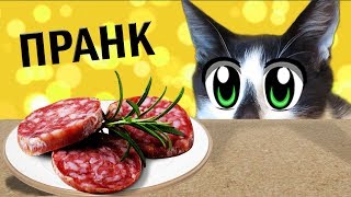 23 СМЕШНЫХ ПРАНКОВ над КОТАМИ ! ЛУЧШИЕ ПРИКОЛЫ с КОТАМИ! СМЕШНЫЕ ИДЕИ ДЛЯ РОЗЫГРЫША пары друзей