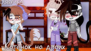 Озвучка Сериала 🐾😻 Котёнок на двоих 🐈🎶 Гача Лайф - Gacha Life [Яой]