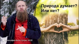 Три вида разума во Вселенной. Как появляется свобода выбора?| Философия йоги. Сутры (№18, 19, 20)