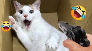 Cute Animals 😻 Funny Moment 🤣 #cute  #funny #viralvideo #cat #trending #baby  #animals