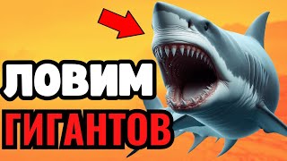 🔴 РР4 СТРИМ🎁РУЛЕТКИ КАЖДЫЕ 20 МИНУТ🤯РЕКОРДНЫЙ ФАРМ🔥